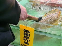 -寻味顺德·南记酒家·传统顺德菜·鱼生(广源路店)