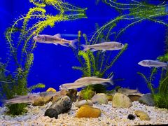 -上海海洋水族馆