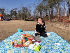 -春花秋色城市公园