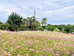 -广州莲花山旅游区