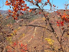 -北京西山国家森林公园