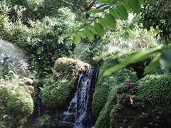 -Chom Cafe and Restaurant