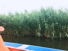 -白洋淀景区