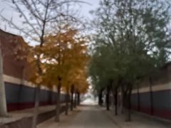 -健康路夜市