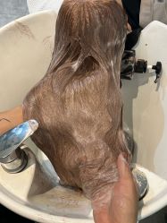 -美格丝M.G.S Hair Salon