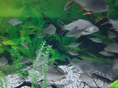 -常州海昌海洋探索馆