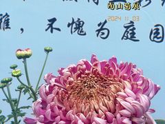 -南山植物园