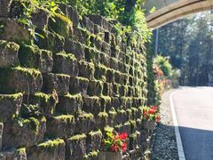 -长春净月潭风景名胜区