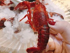 冰镇龙虾小份-怪怪龙虾·澳洲蓝龙王·深夜食堂(惊驾路店)