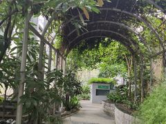 -南山植物园
