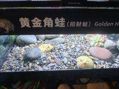 -重庆欢乐海底世界