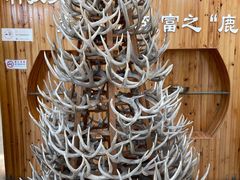 -北京鹿世界主题园