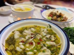 酸菜青柠鱼片-阿锋鲍鱼酒家美食汇(华安店)