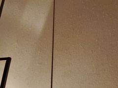 -广州花园酒店