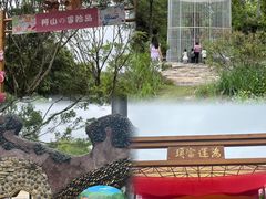 -梅州雁山湖国际花园度假区