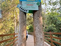 -野象谷景区