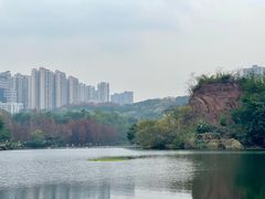 -重庆彩云湖湿地公园