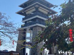 -大湾区中央湿地公园
