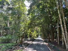 -中国科学院西双版纳热带植物园