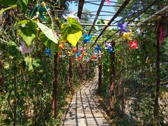 门面-南窖乡水峪村山情农家