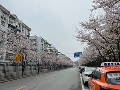 -永乐路-路侧停车场