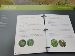 -云溪植物园