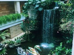 -白天鹅宾馆·流浮阁咖啡厅