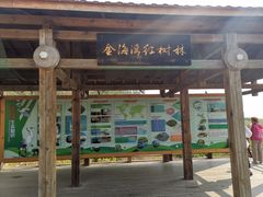 -北海金海湾红树林生态旅游区