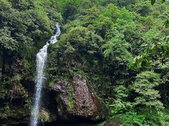 -龙苍沟森林公园