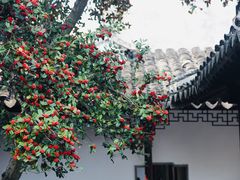 -耦园