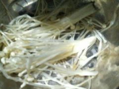 -蝎菜杨·牛肉面 羊蝎子火锅(光熙门北里店)