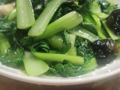 -风波庄(罍街分舵)