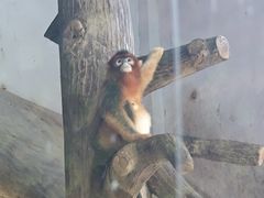 -大连森林动物园