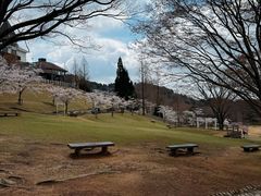 -神户市立六甲山牧场