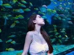 -海合安成都极地海洋公园