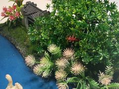 -丰味馆(雅景街店)