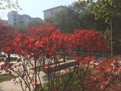 -南华大学(红湘校区)