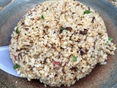 -蘑统田下·野生菌火锅