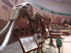 -陕西自然博物馆