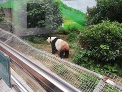 -柳州市动物园