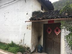 -衢州大荫山丛林飞越探险乐园