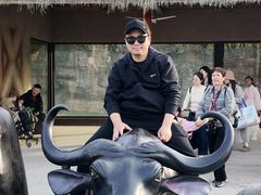 -杭州野生动物世界