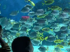 -海合安武汉极地海洋公园