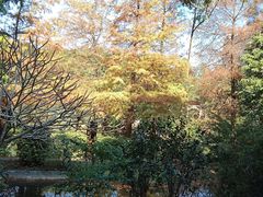 -深圳国际园林花卉博览园