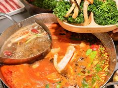 -楠小云·云南鲜菌·鲜牛自助火锅(九眼桥店)