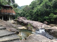 -广州白江湖森林公园