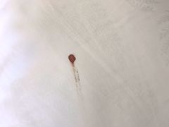 -苏州环秀晓筑养生度假村