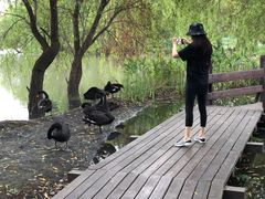 -长兴太湖图影湿地文化园