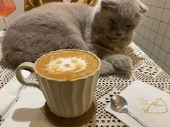 -猫友咖啡店(玉林西路店)