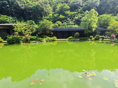 -云溪植物园